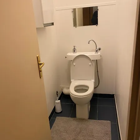 Charment F3 A 8 Min De La Gare A Pied Et 1 Min Du Centre Mulhouse